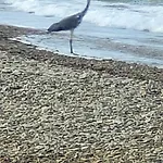 Il Melarancio Del Salento Casa vacanze Lendinuso