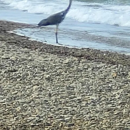 Il Melarancio Del Salento Nyaraló Lendinuso
