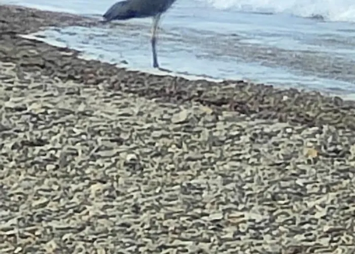 Il Melarancio Del Salento Holiday home Lendinuso