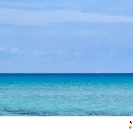 Il Melarancio Del Salento Tatil Evi Lendinuso